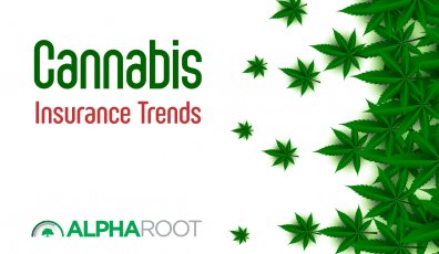 Cannabis Insurance Trends