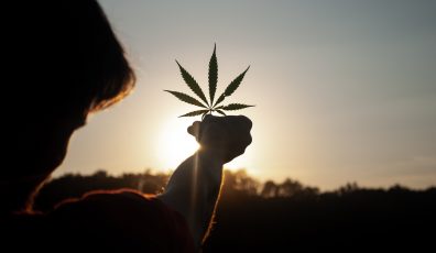 A guy holding a marijuana leaf