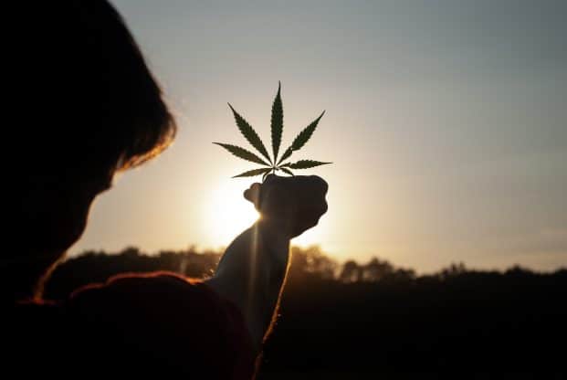 A guy holding a marijuana leaf