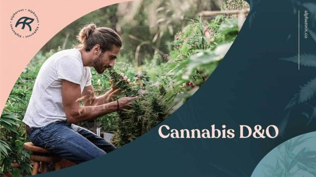 Cannabis-D&O-Guide