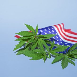federal marijuana convictions