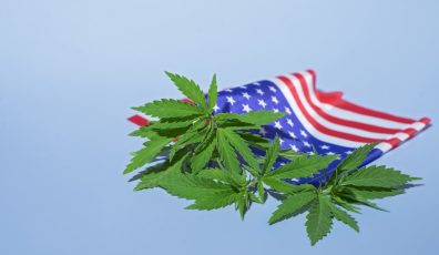 federal marijuana convictions
