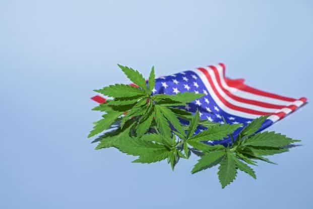 federal marijuana convictions