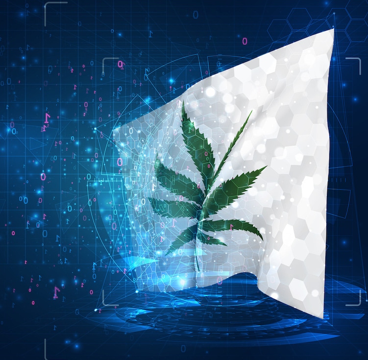 Cannabis Cybersecurity: 3 Reasons Why It’s a Growing Insurance Concern