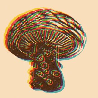 psychedelics legal issues