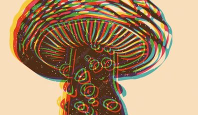 psychedelics legal issues