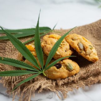 small cannabis business