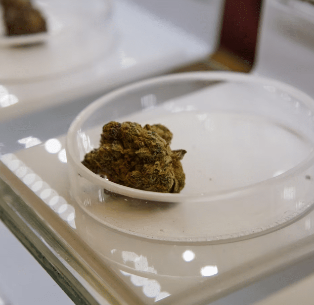 What Is a Hybrid Dispensary?