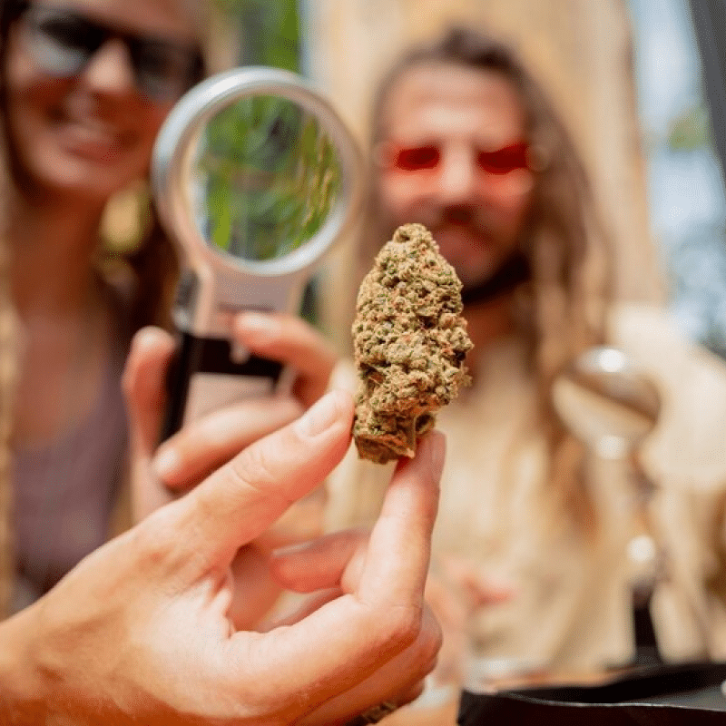 Cannabis Event Insurance