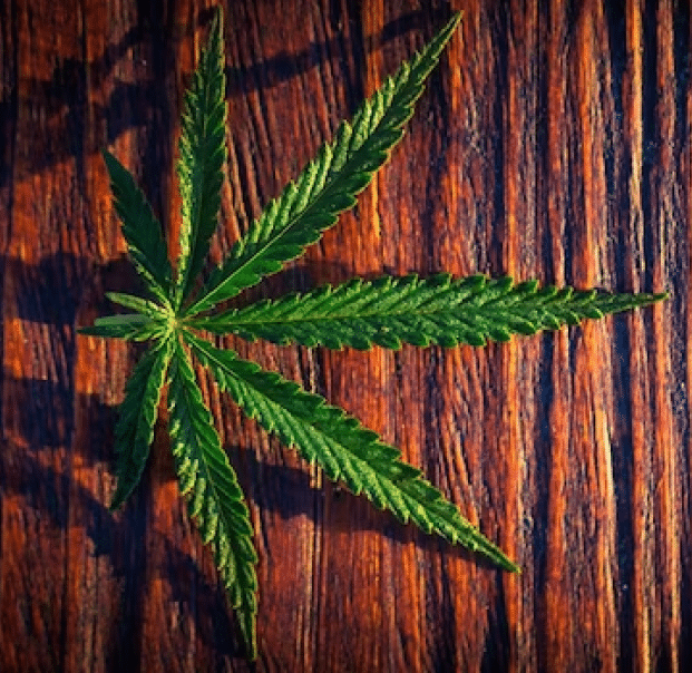 Demystifying Cannabis Terminology