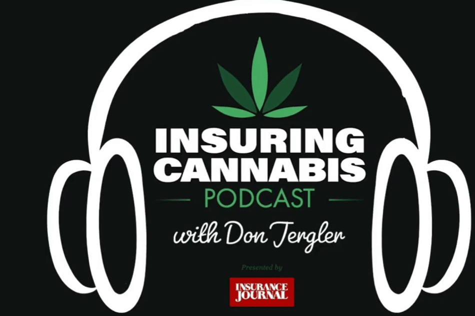 Takeaways from Our Conversation on Cannabis Podcasts