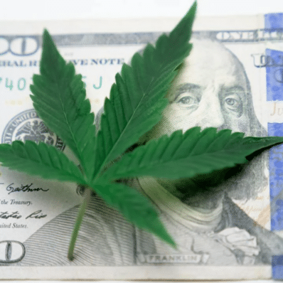 Illinois’s Flourishing Cannabis Industry