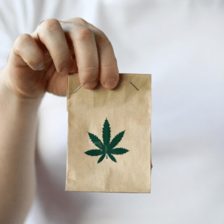 cannabis delivery business insurance