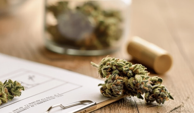 Cannabis license application mistakes