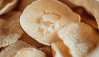 Functional Mushroom Industry