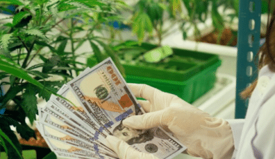 Cannabis Industry Growth