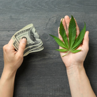 Cannabis Investments