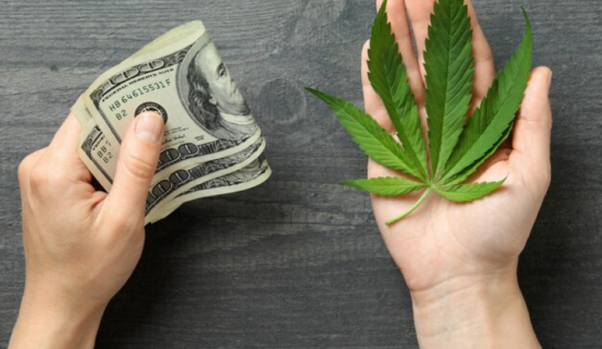 Cannabis Investments