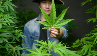 Largest Cannabis Companies