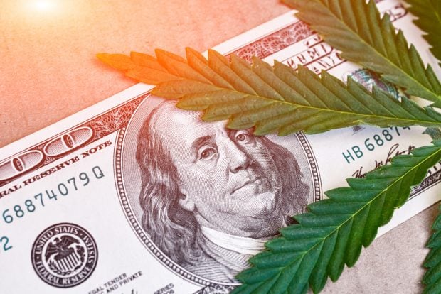 Key Compliance & Risk Management Insights for CU Leaders in Cannabis Banking