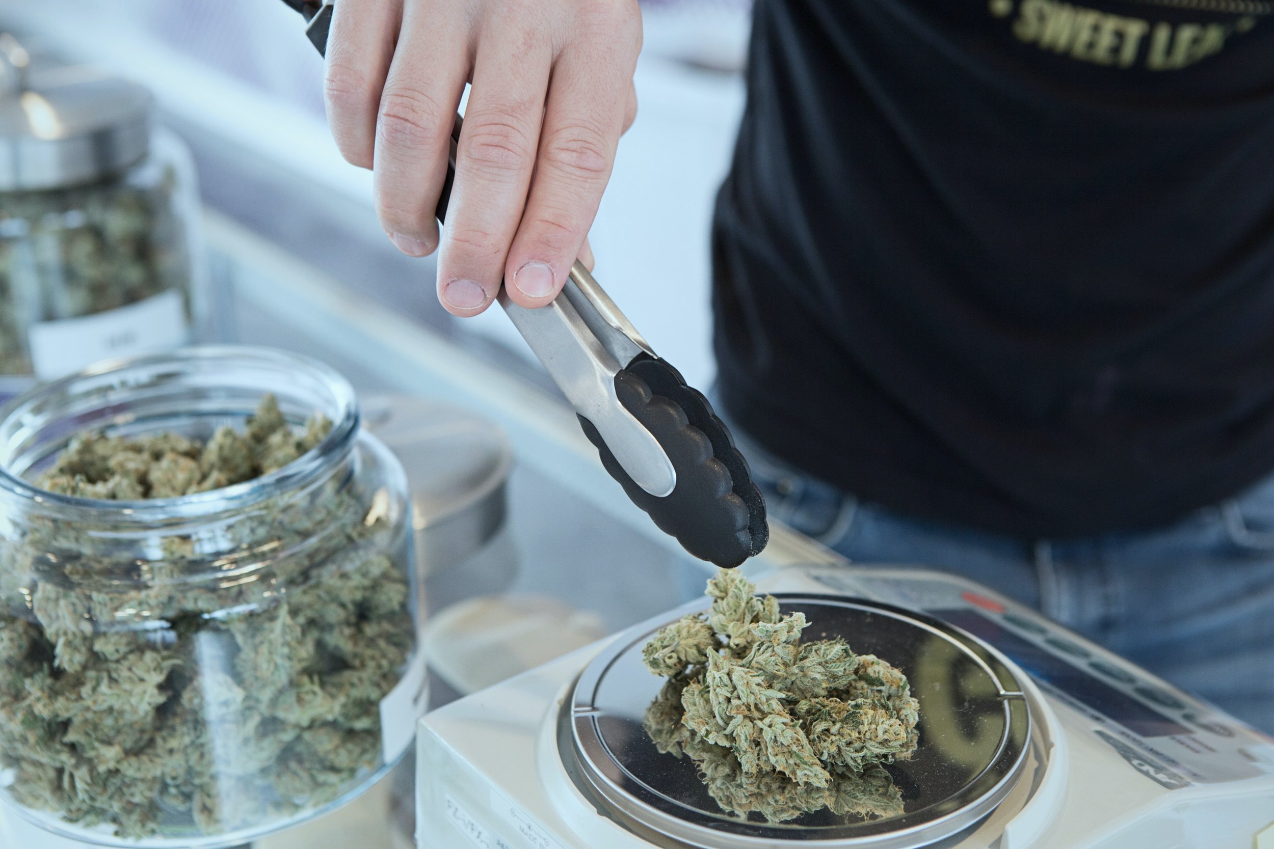 Truly Going Green: What Is a Sustainable Dispensary?
