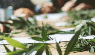 Cannabis Business Conferences 2025