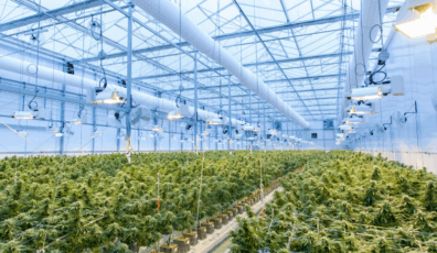 Cannabis California financing