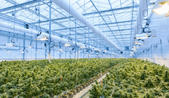Cannabis California financing