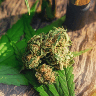 California cannabis