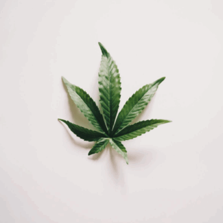 Customize Cannabis Insurance