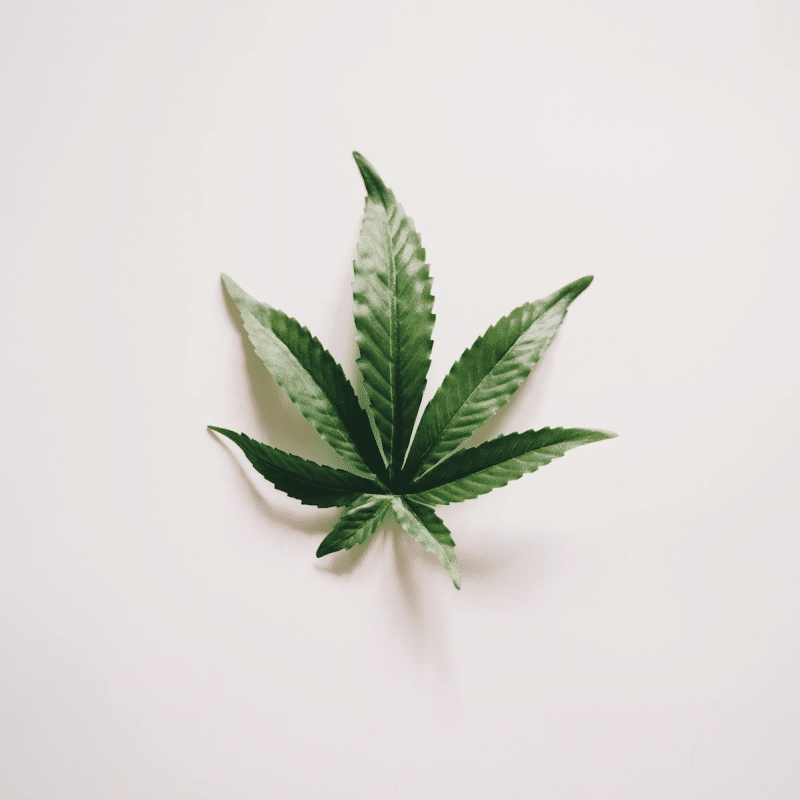 How to Customize Cannabis Insurance for Your Specific Operations