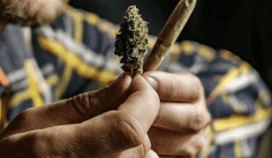 Delaware Adult-Use Cannabis