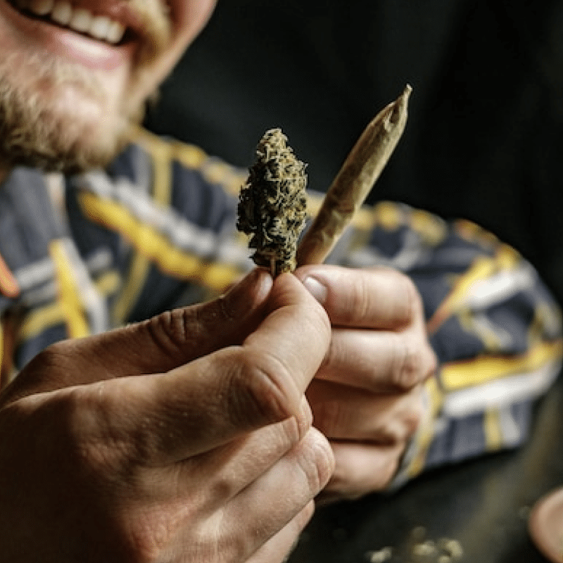 Delaware Adult-Use Cannabis: Navigating the New Market with Smart Insurance