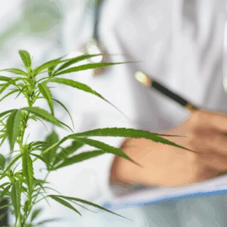 COA cannabis testing requirements