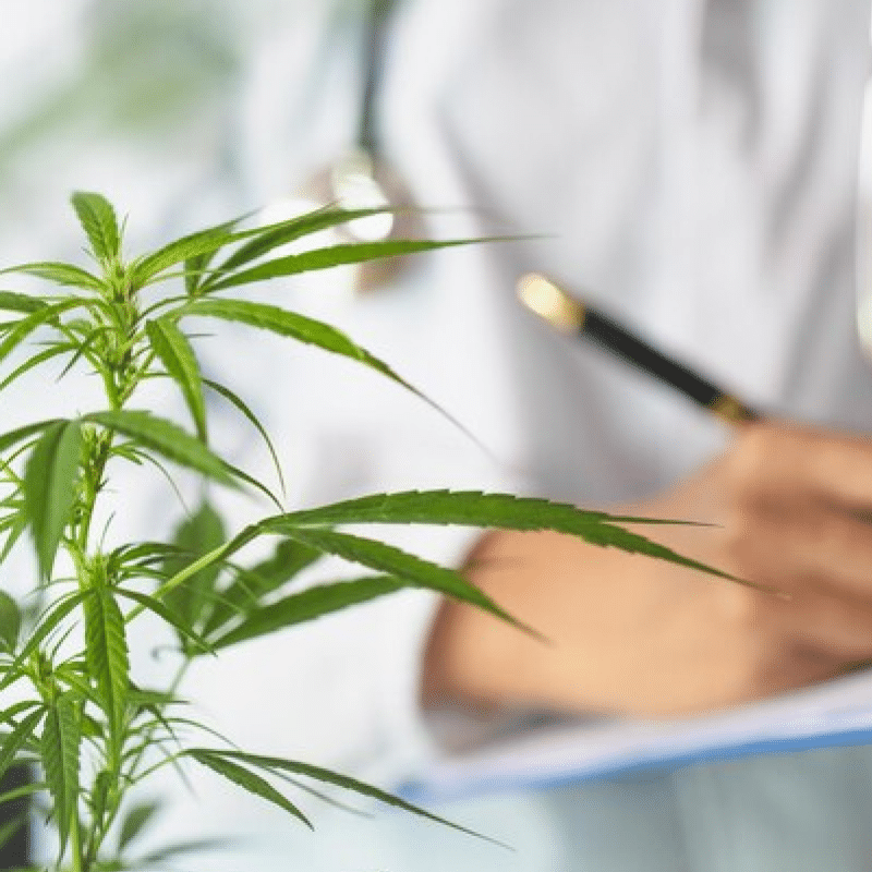 Cannabis COAs: A State-by-State Guide to Testing Requirements