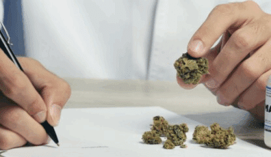 insurance requirements in cannabis contracts