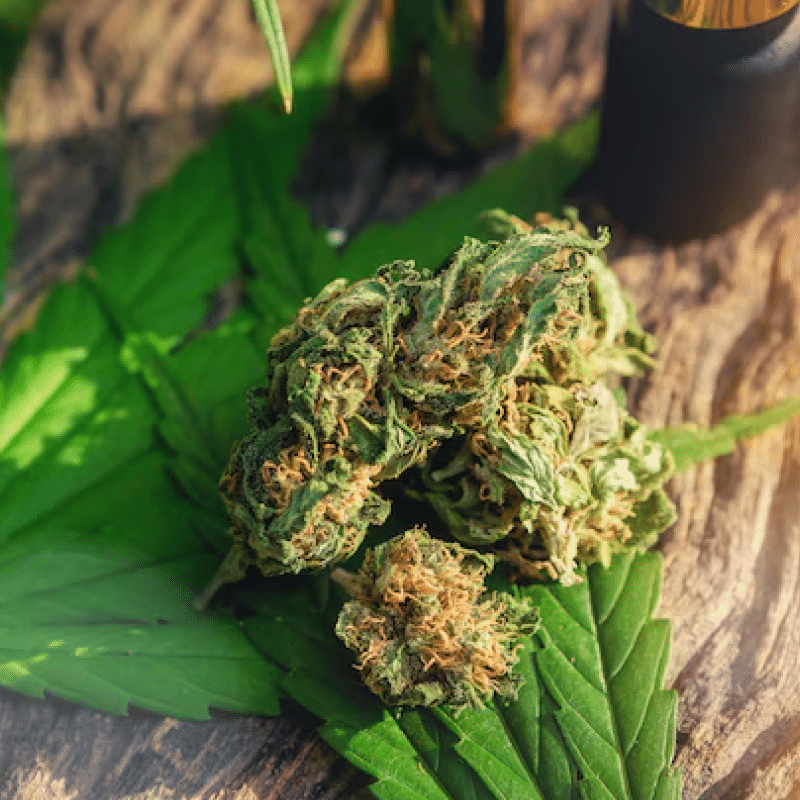 Cannabis Mid-Year Check-In: What’s Really Happening in 2025?