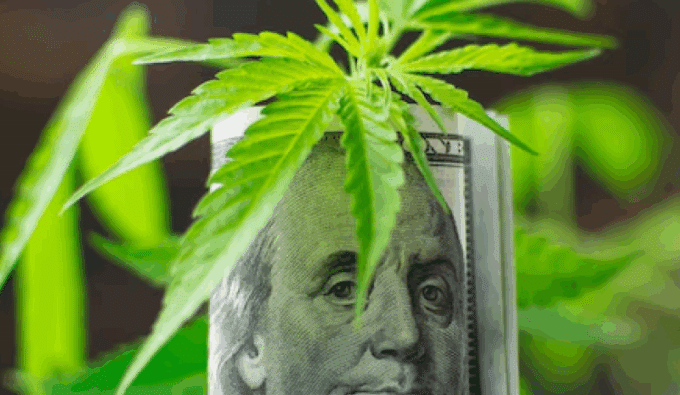 cannabis funding