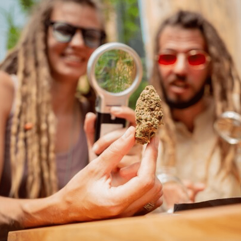 Understand What Venues Expect for Insurance at Cannabis Tastings and Infused Dinners