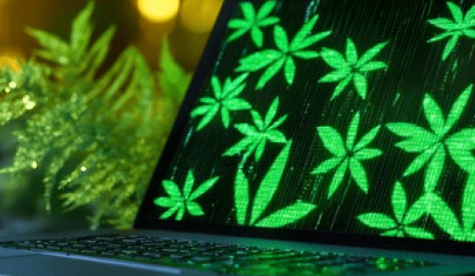 Cybersecurity for cannabis brands
