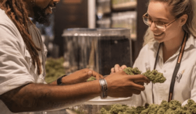 Retail Cannabis Risk Management