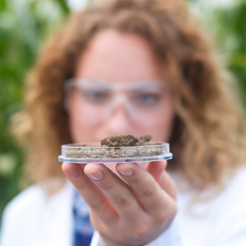 Schedule III: Taking Cannabis Out of the Shadows and Into the FDA Crosshairs